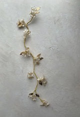 Trailing Jasmine Vine